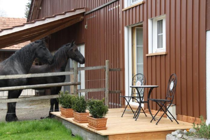 Bnb Haag Exterior photo